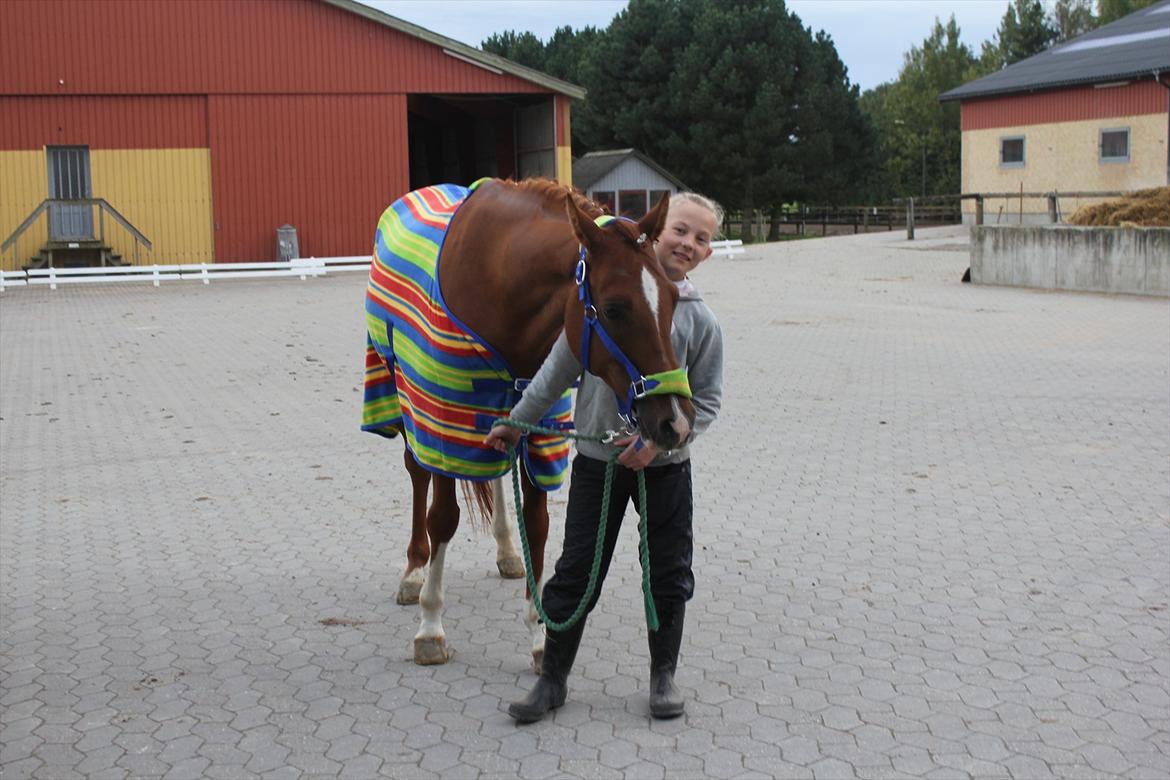 Stævne i Ågerupgård Sportsrideklub  d. 17 se billede 4