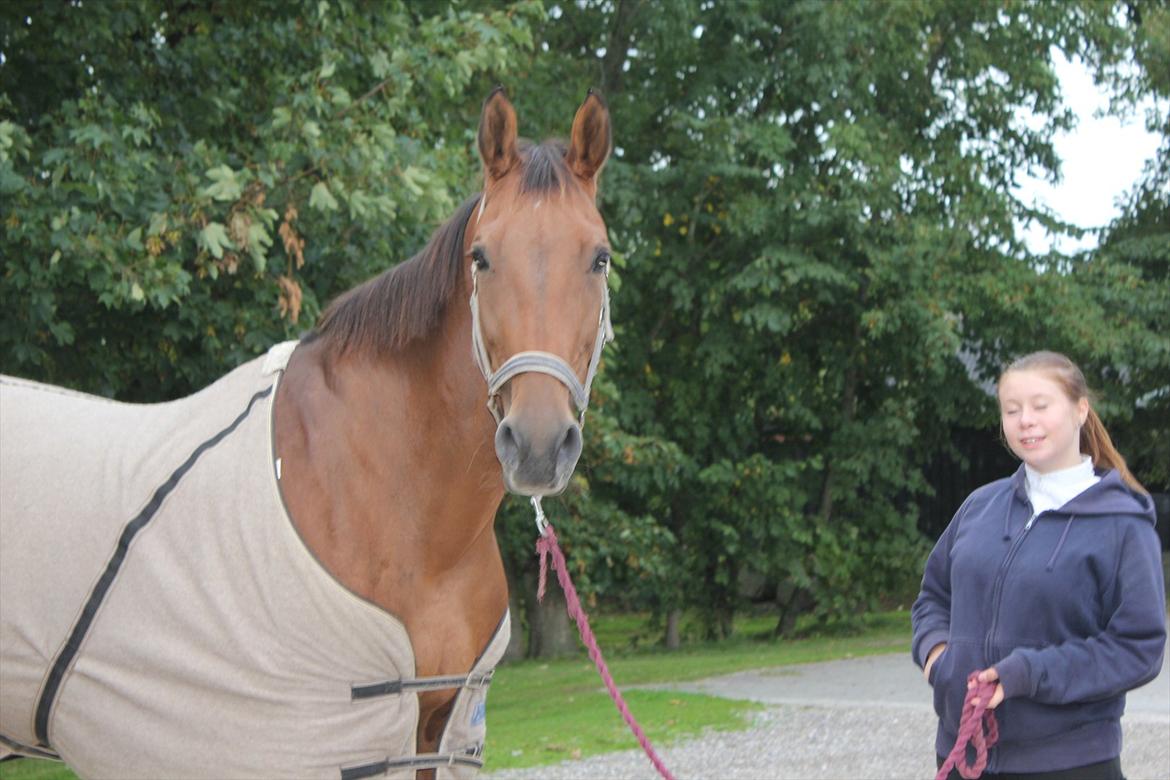 Stævne i Ågerupgård Sportsrideklub  d. 17 se billede 5