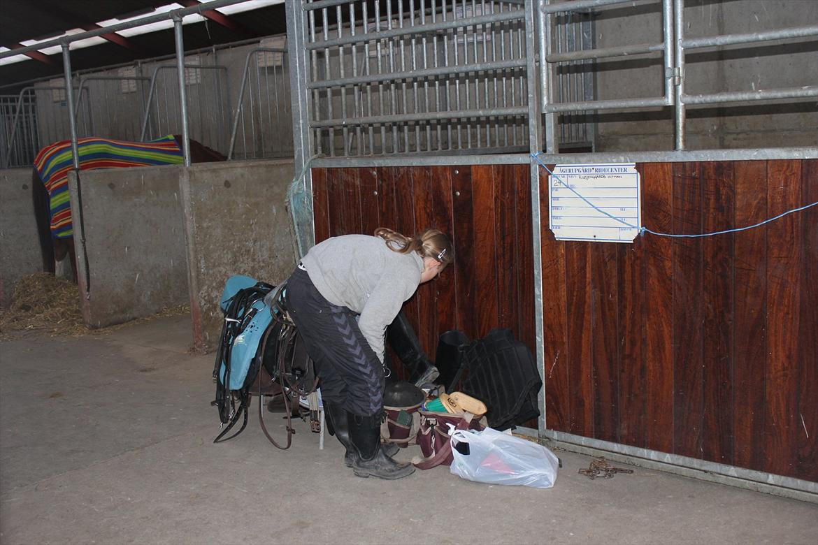 Stævne i Ågerupgård Sportsrideklub  d. 17 se billede 9