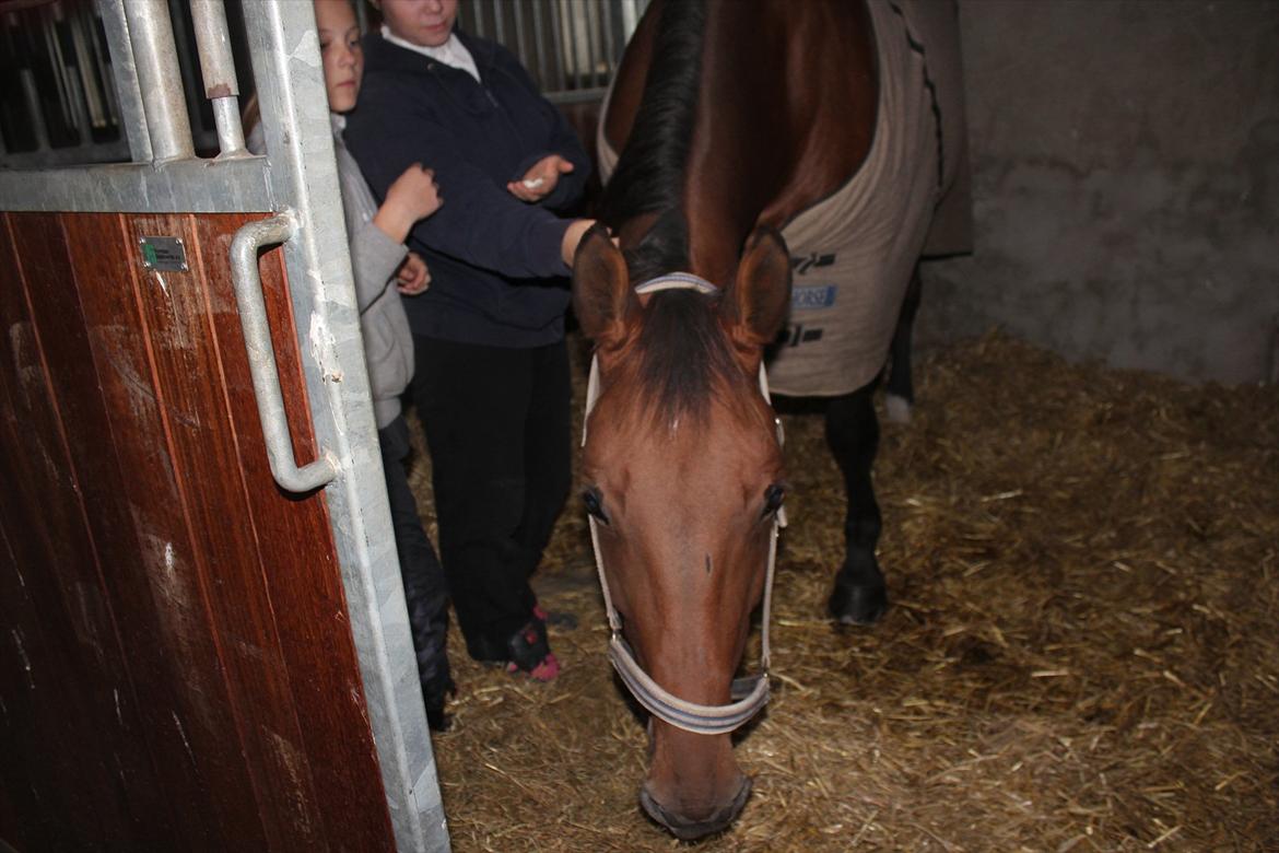 Stævne i Ågerupgård Sportsrideklub  d. 17 se billede 11