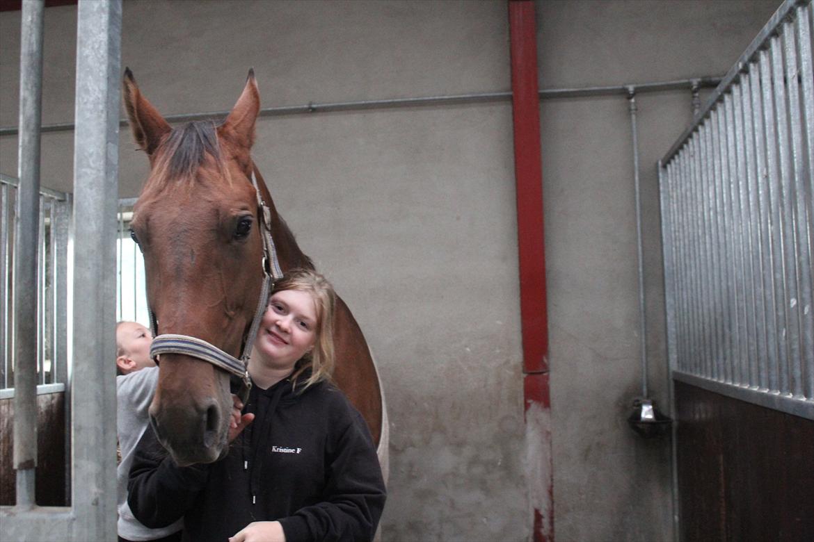 Stævne i Ågerupgård Sportsrideklub  d. 17 se billede 13