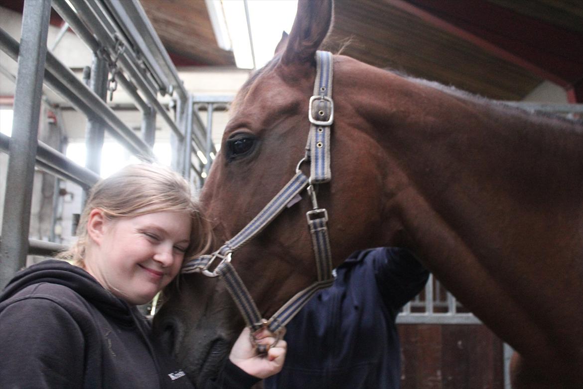 Stævne i Ågerupgård Sportsrideklub  d. 17 se billede 19