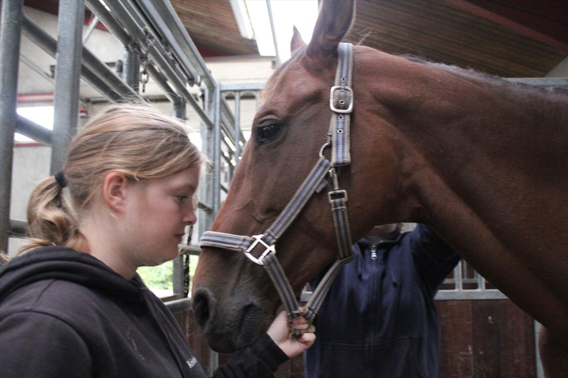 Stævne i Ågerupgård Sportsrideklub  d. 17 se billede 21