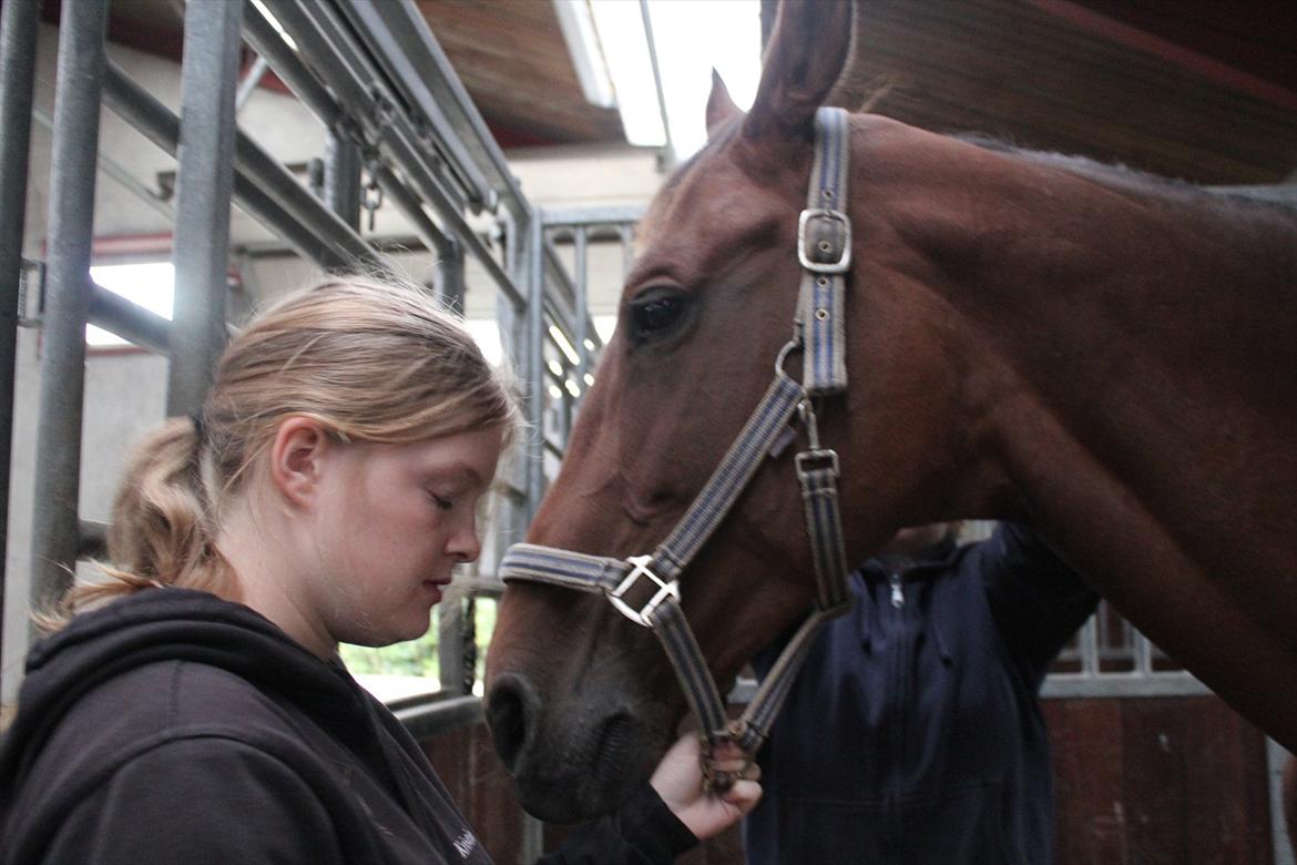 Stævne i Ågerupgård Sportsrideklub  d. 17 se billede 22