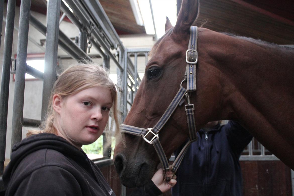 Stævne i Ågerupgård Sportsrideklub  d. 17 se billede 23