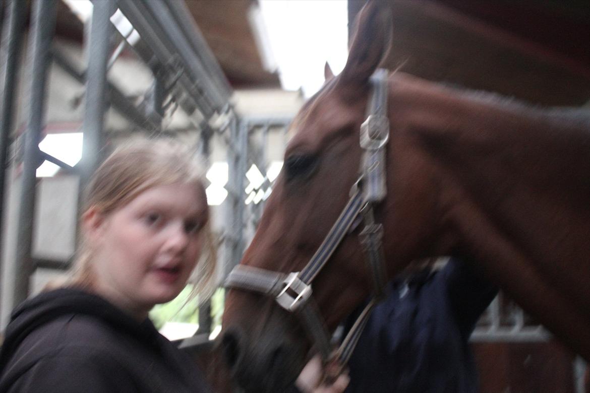 Stævne i Ågerupgård Sportsrideklub  d. 17 se billede 24