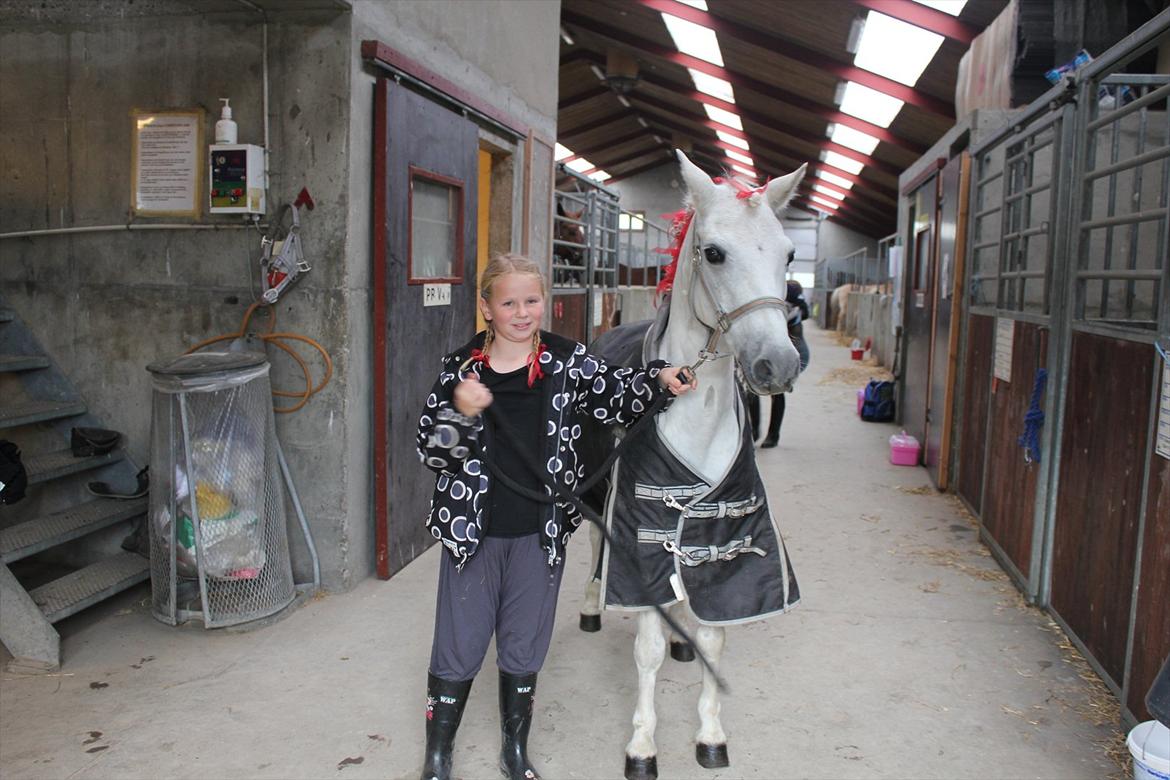 Stævne i Ågerupgård Sportsrideklub  d. 17 se billede 30