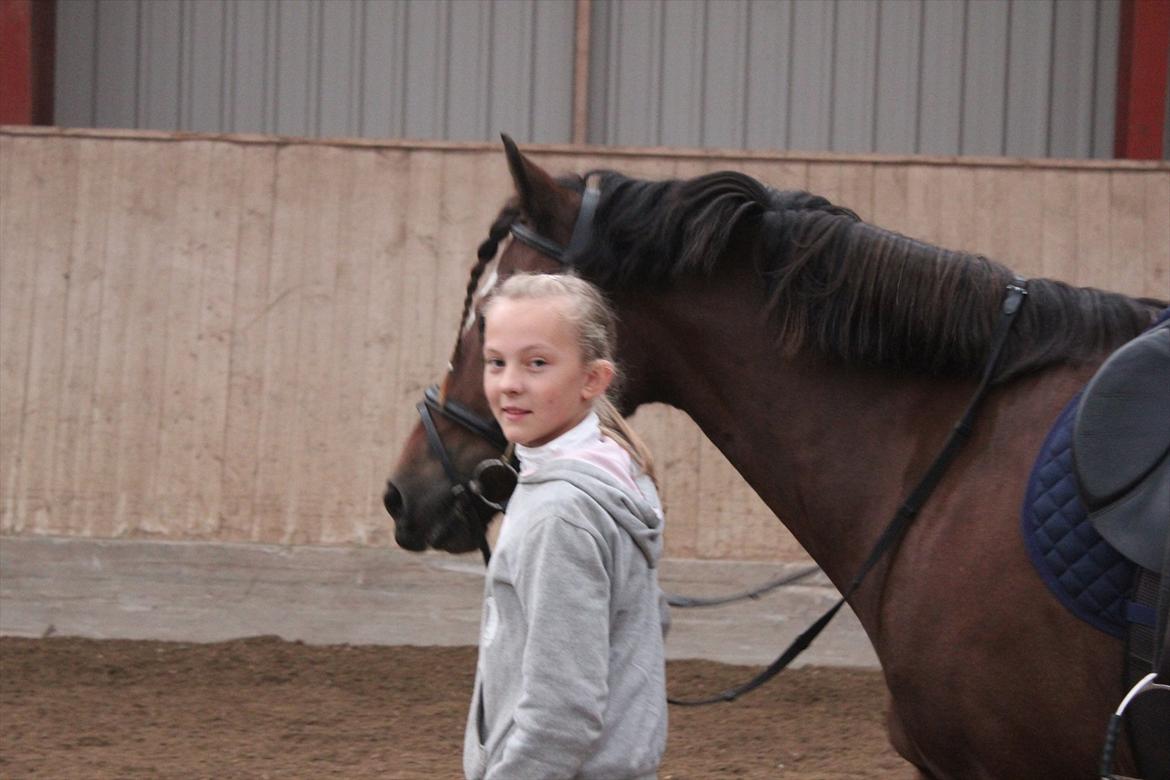 Stævne i Ågerupgård Sportsrideklub  d. 17 se billede 31