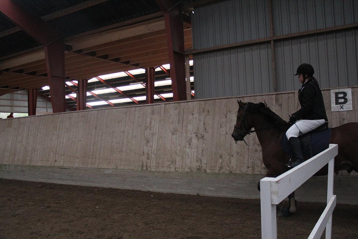 Stævne i Ågerupgård Sportsrideklub  d. 17 se billede 33