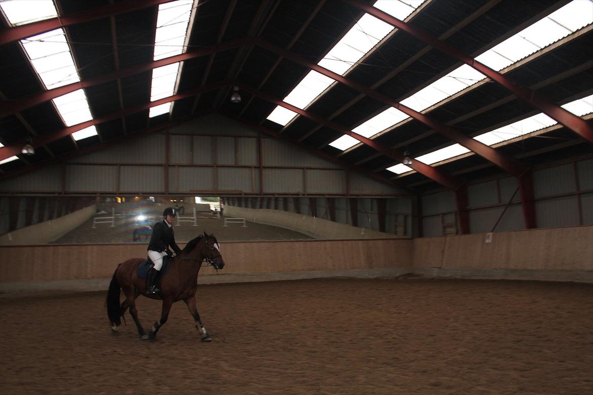 Stævne i Ågerupgård Sportsrideklub  d. 17 se billede 34