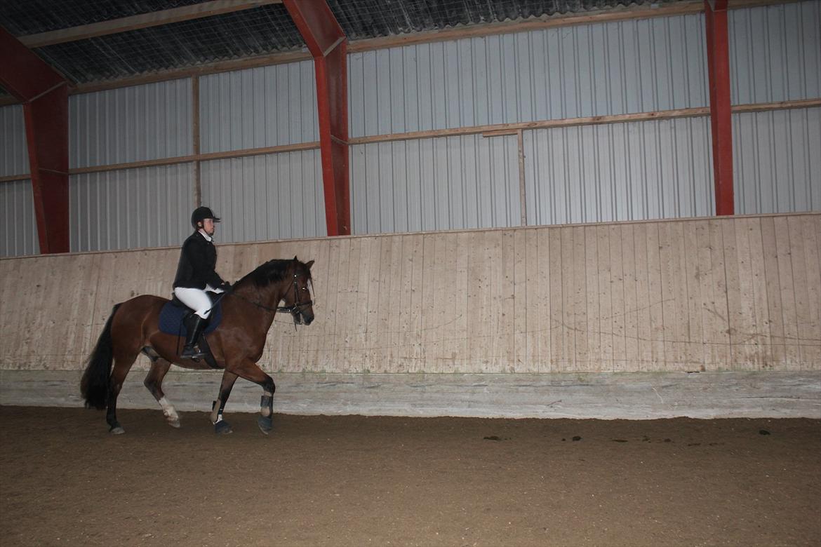 Stævne i Ågerupgård Sportsrideklub  d. 17 se billede 35