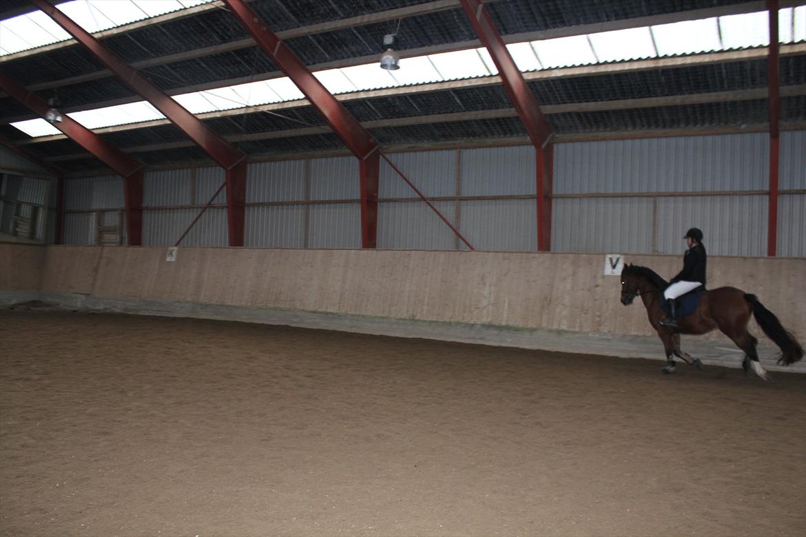 Stævne i Ågerupgård Sportsrideklub  d. 17 se billede 36