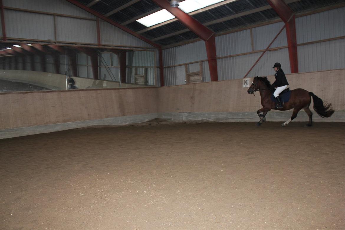 Stævne i Ågerupgård Sportsrideklub  d. 17 se billede 38