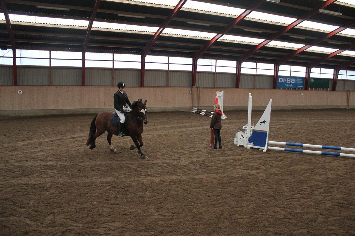 Stævne i Ågerupgård Sportsrideklub  d. 17 se billede 40