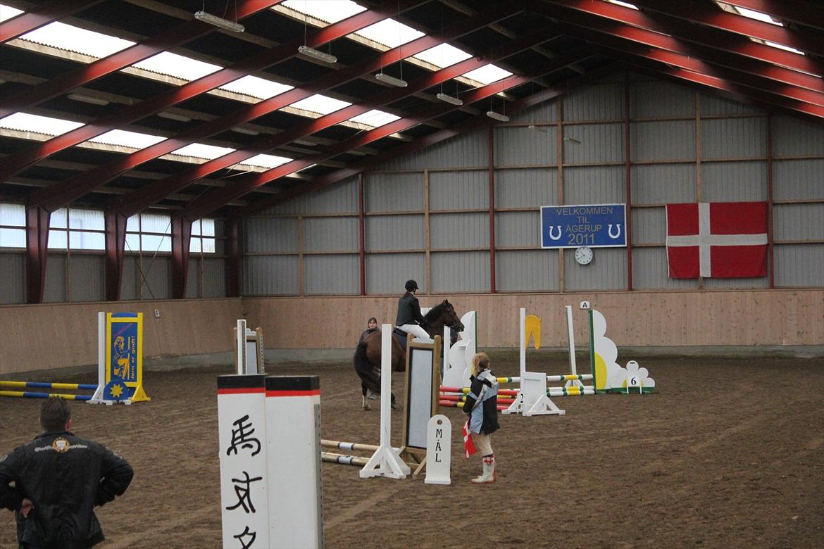 Stævne i Ågerupgård Sportsrideklub  d. 17 se billede 41