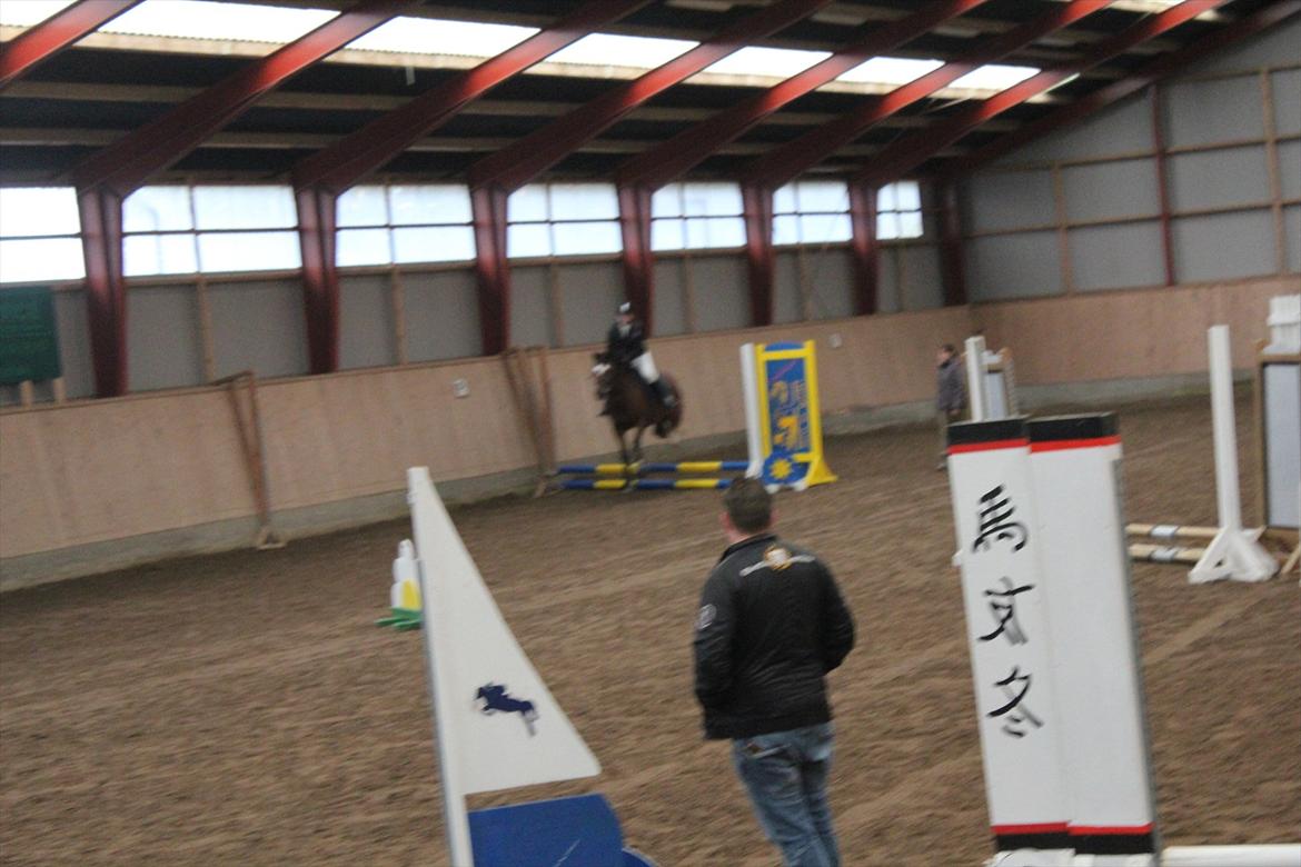 Stævne i Ågerupgård Sportsrideklub  d. 17 se billede 42