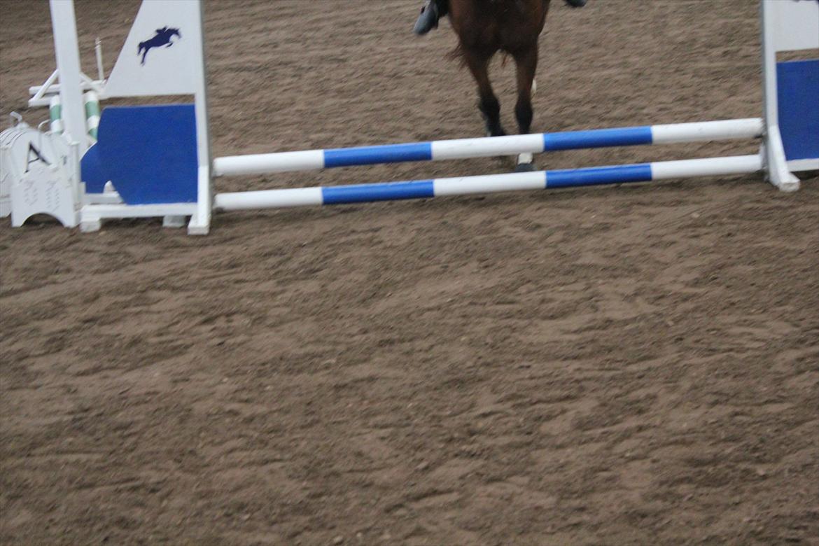 Stævne i Ågerupgård Sportsrideklub  d. 17 se billede 43