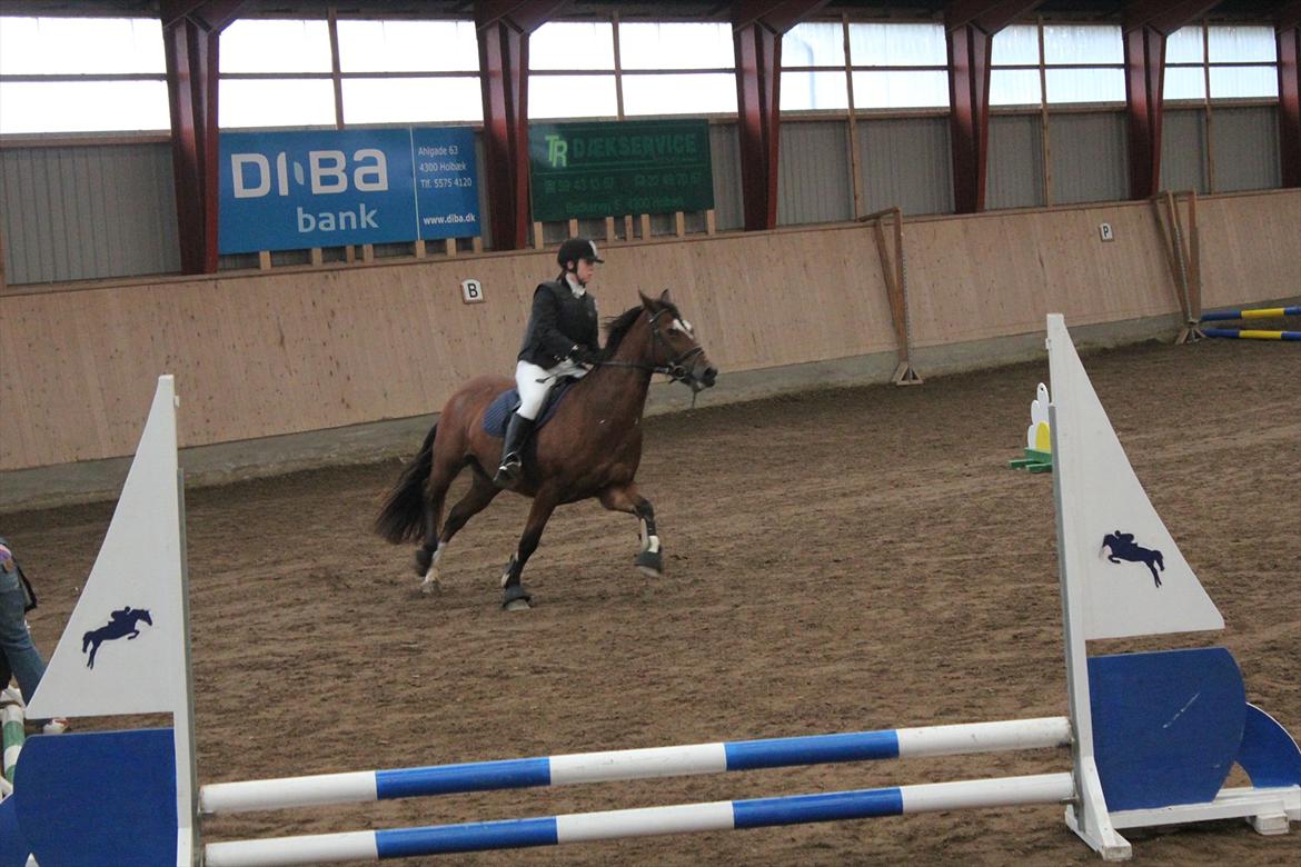 Stævne i Ågerupgård Sportsrideklub  d. 17 se billede 46