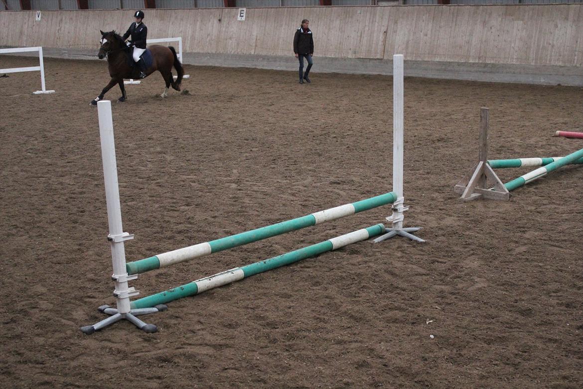 Stævne i Ågerupgård Sportsrideklub  d. 17 se billede 48