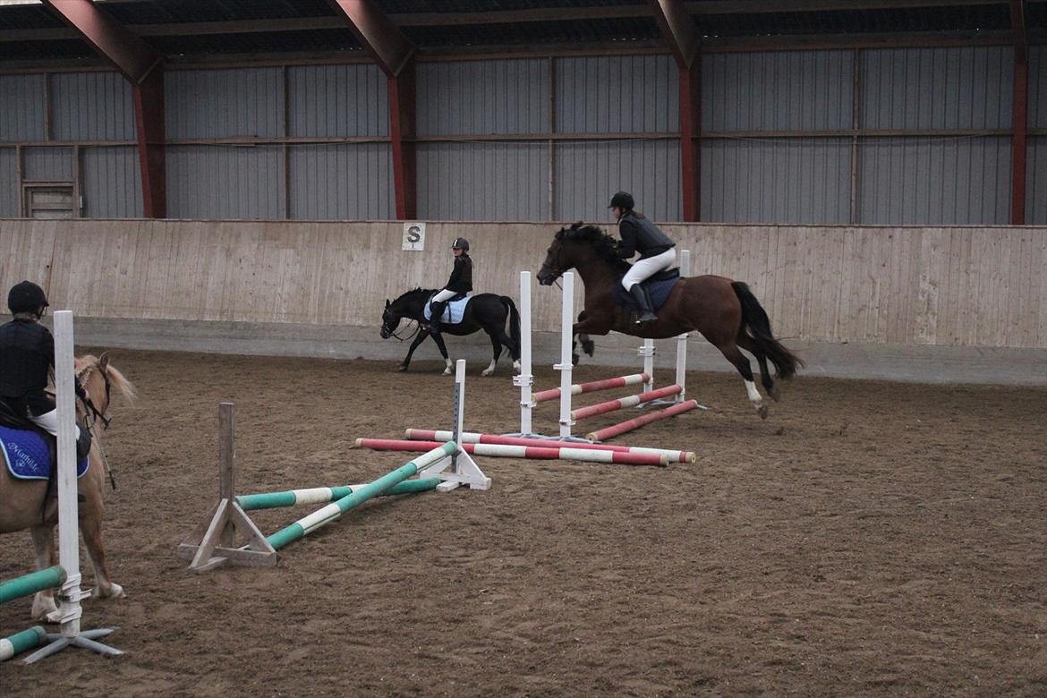 Stævne i Ågerupgård Sportsrideklub  d. 17 se billede 49