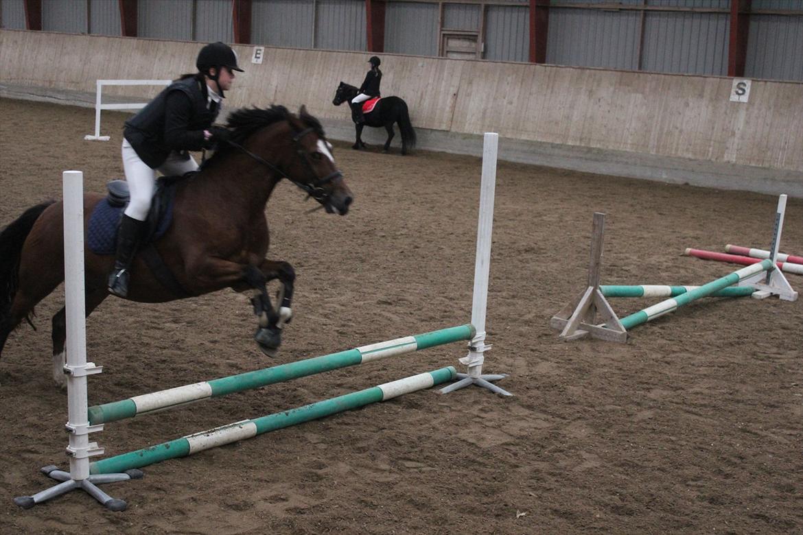 Stævne i Ågerupgård Sportsrideklub  d. 17 se billede 50