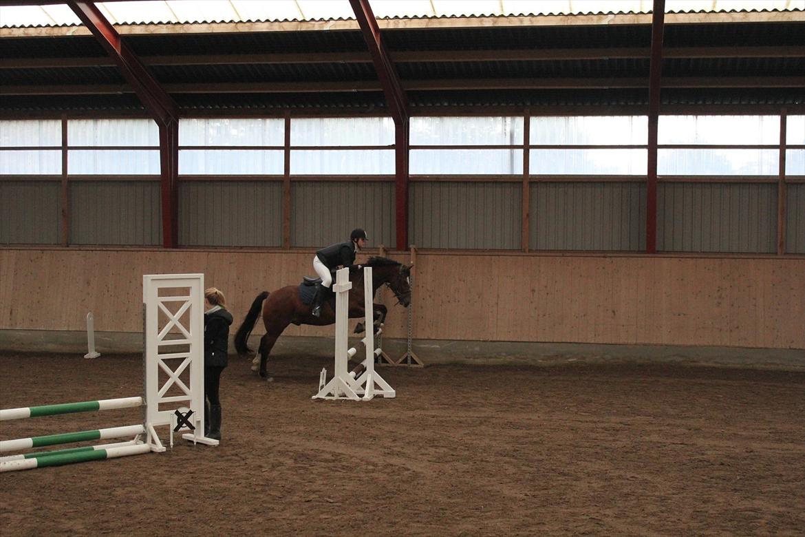 Stævne i Ågerupgård Sportsrideklub  d. 17 se billede 51