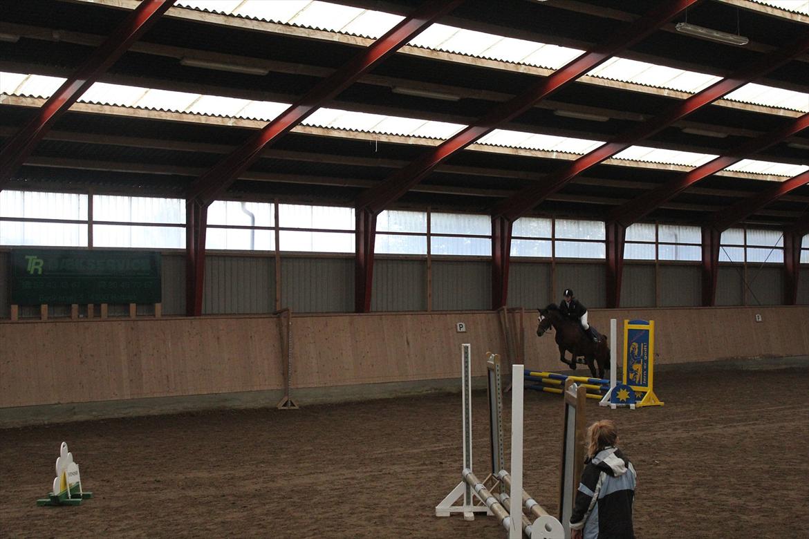 Stævne i Ågerupgård Sportsrideklub  d. 17 se billede 52