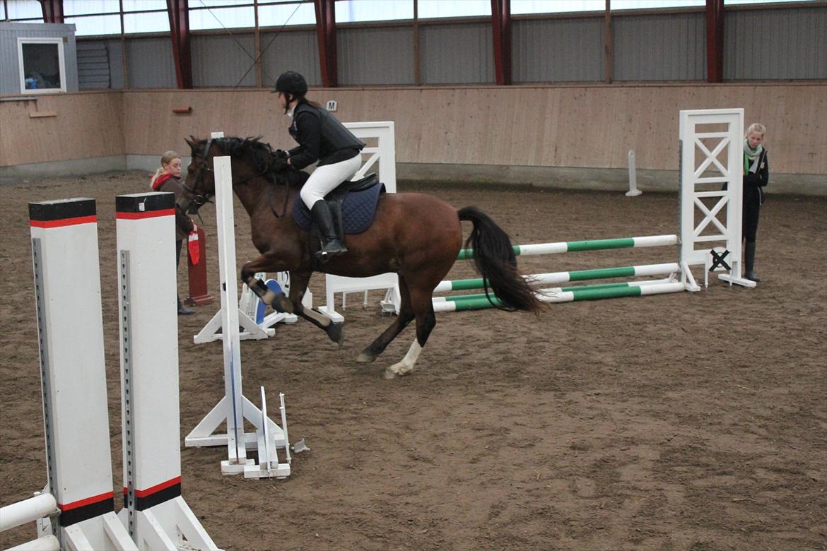 Stævne i Ågerupgård Sportsrideklub  d. 17 se billede 53