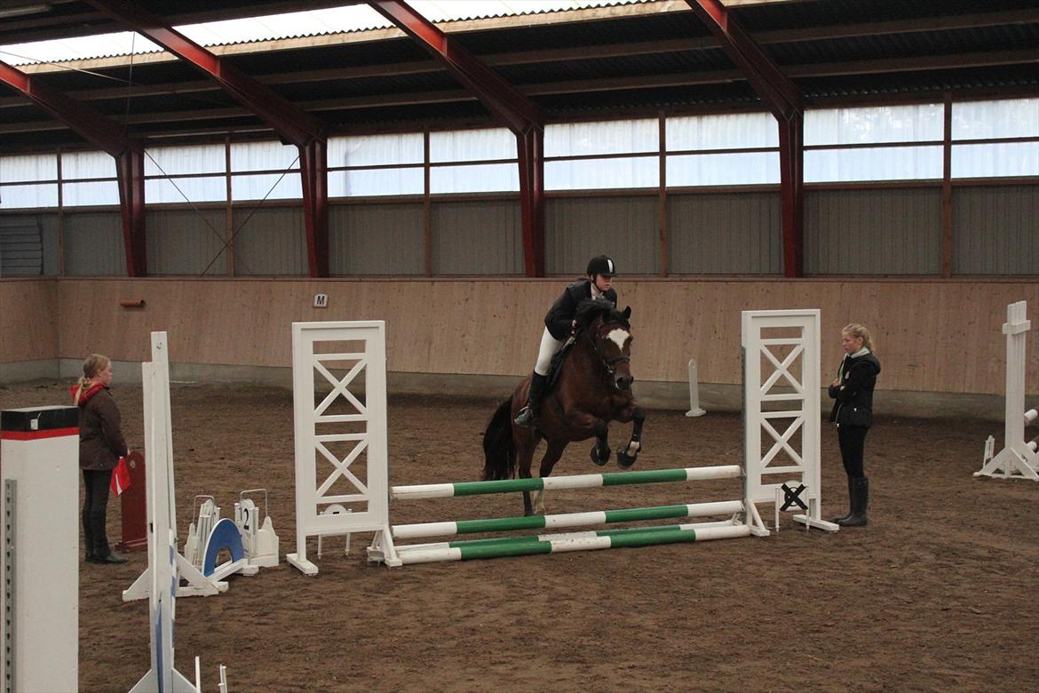 Stævne i Ågerupgård Sportsrideklub  d. 17 se billede 54