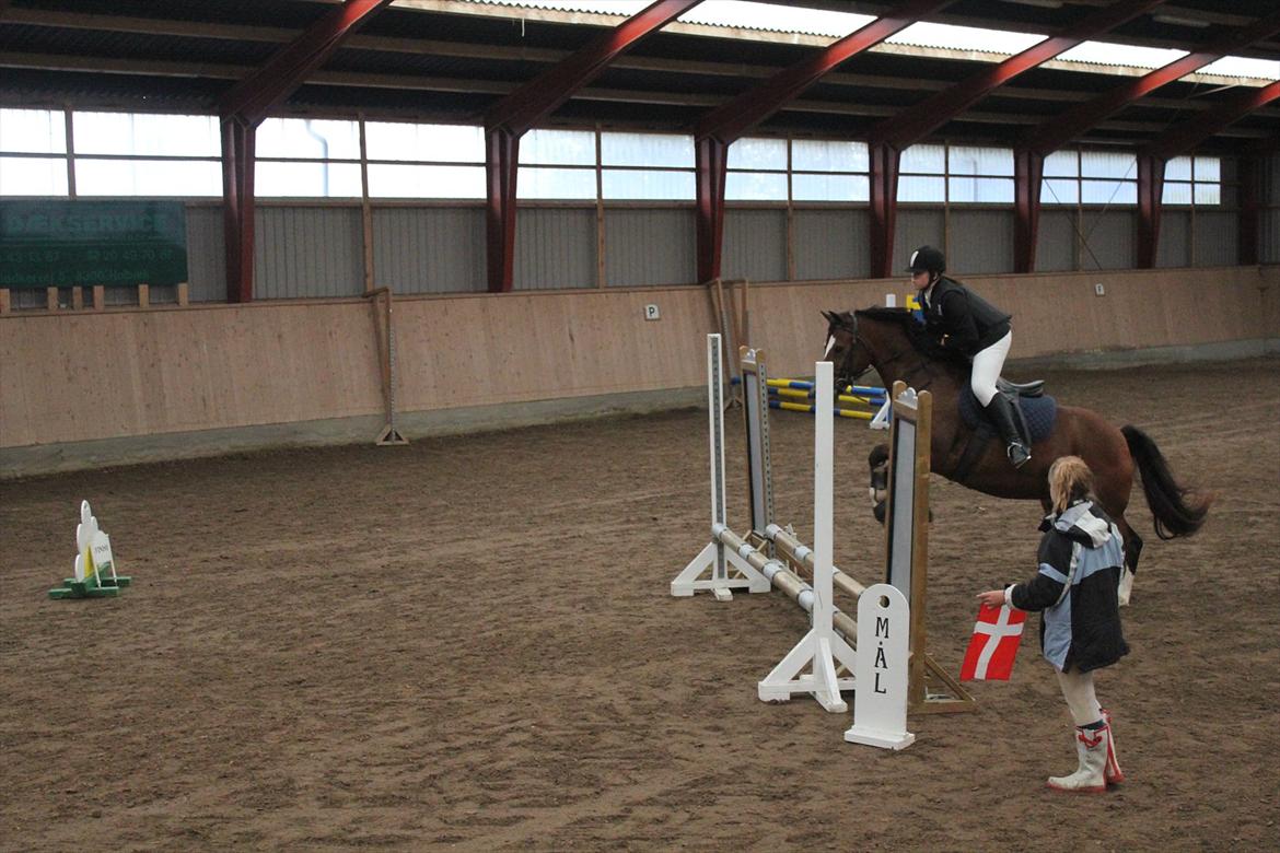 Stævne i Ågerupgård Sportsrideklub  d. 17 se billede 55