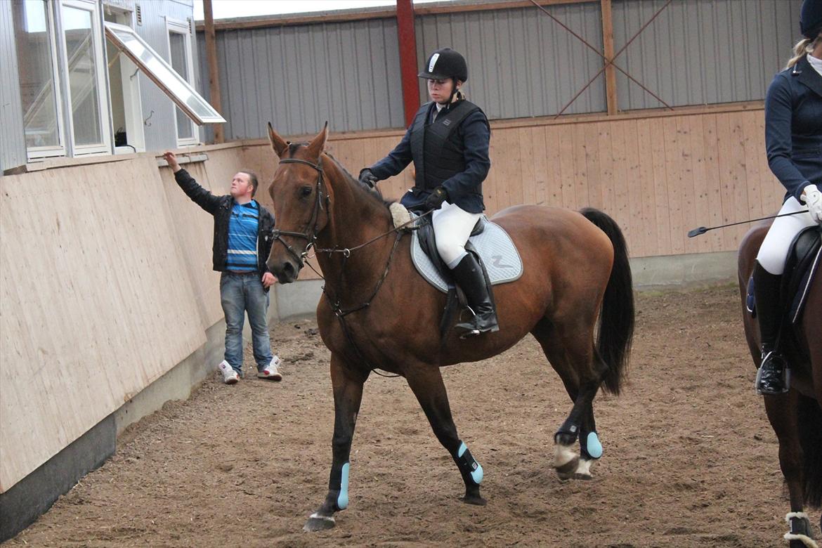 Stævne i Ågerupgård Sportsrideklub  d. 17 se billede 57