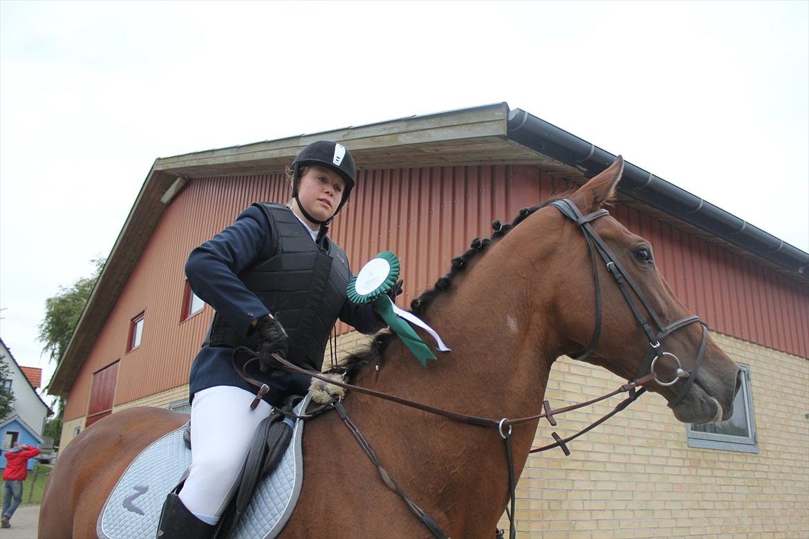 Stævne i Ågerupgård Sportsrideklub  d. 17 se billede 58