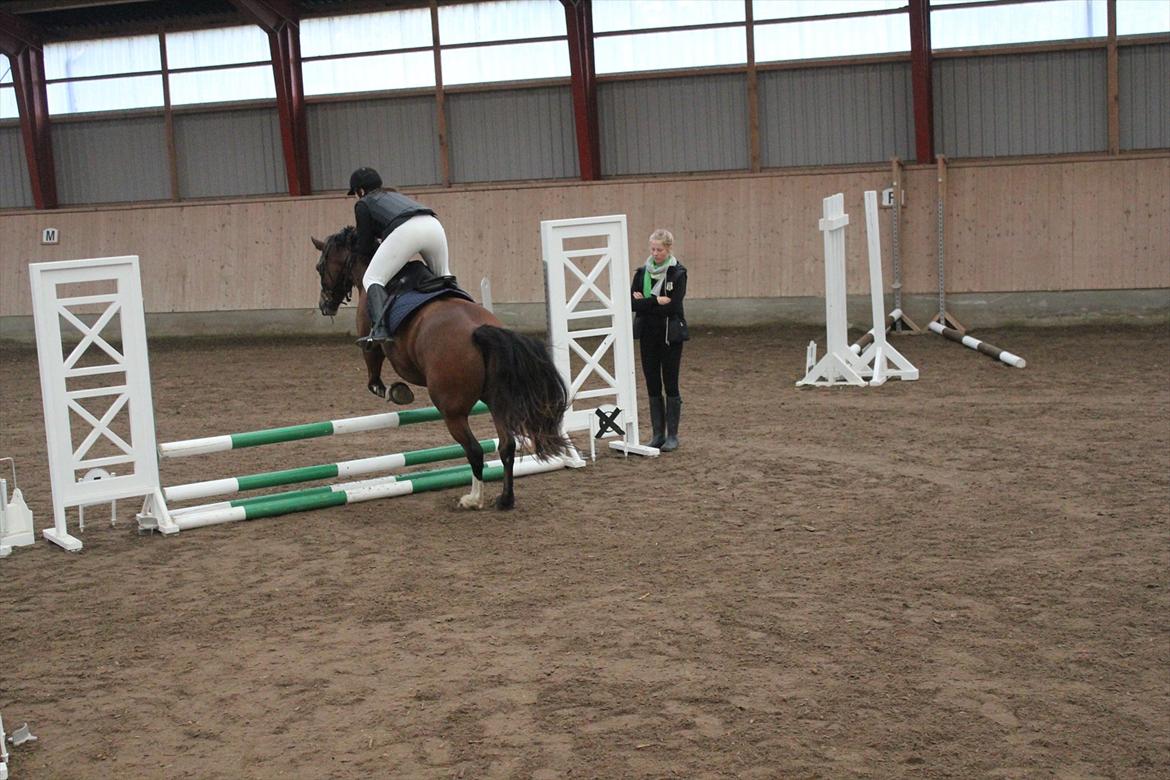 Stævne i Ågerupgård Sportsrideklub  d. 17 se billede 59