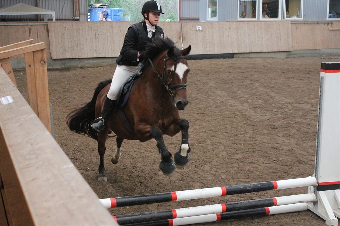 Stævne i Ågerupgård Sportsrideklub  d. 17 se billede 60