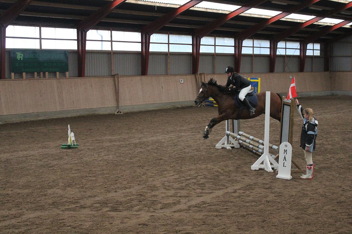 Stævne i Ågerupgård Sportsrideklub  d. 17 se billede 61