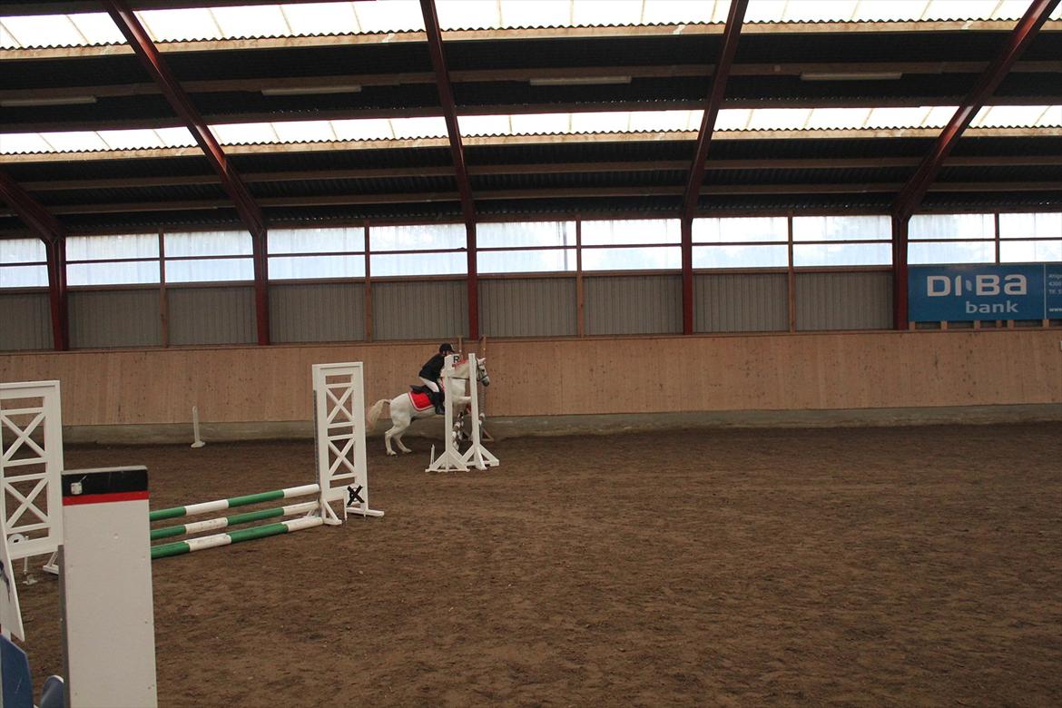 Stævne i Ågerupgård Sportsrideklub  d. 17 se billede 62