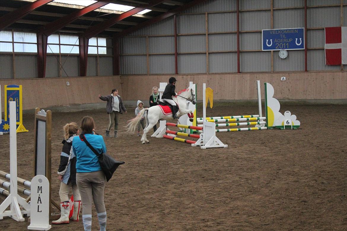 Stævne i Ågerupgård Sportsrideklub  d. 17 se billede 63