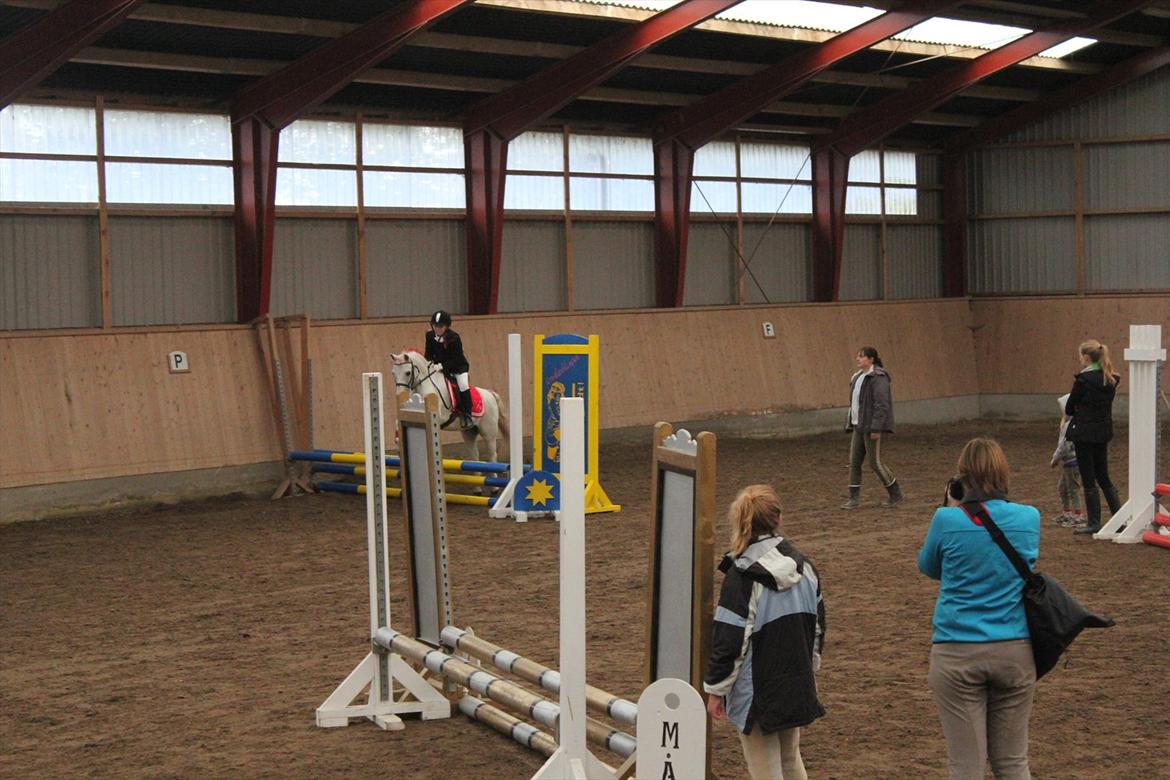 Stævne i Ågerupgård Sportsrideklub  d. 17 se billede 64