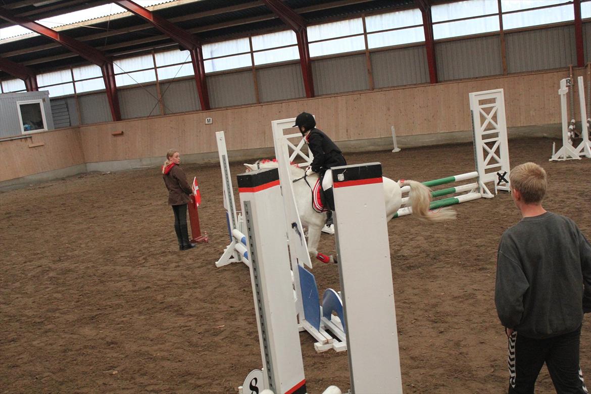 Stævne i Ågerupgård Sportsrideklub  d. 17 se billede 65