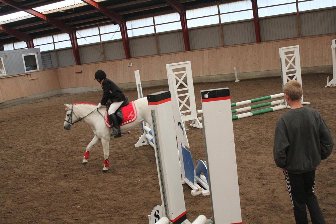 Stævne i Ågerupgård Sportsrideklub  d. 17 se billede 66