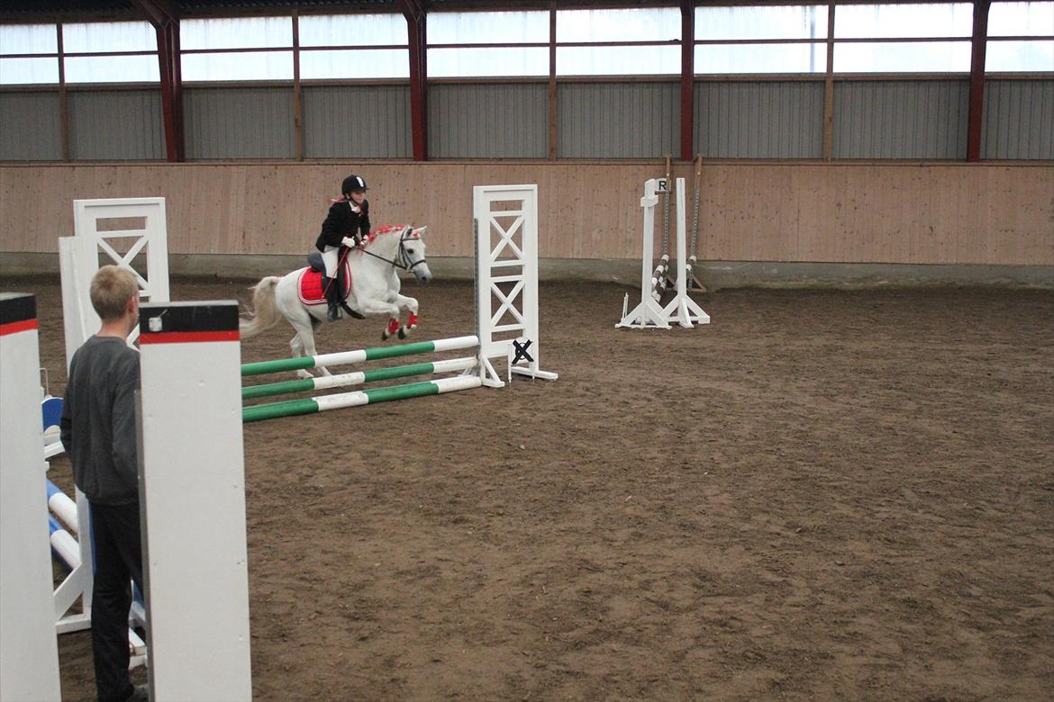 Stævne i Ågerupgård Sportsrideklub  d. 17 se billede 67