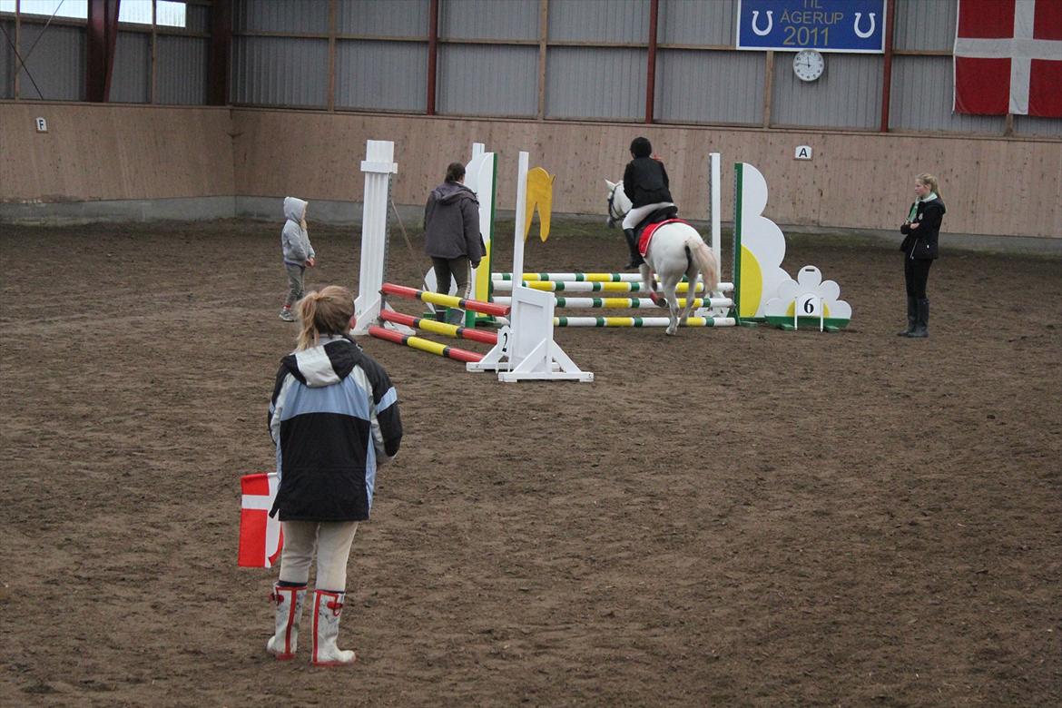 Stævne i Ågerupgård Sportsrideklub  d. 17 se billede 68