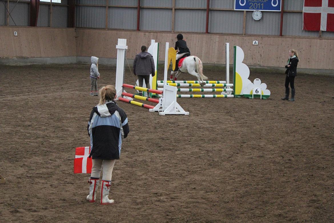 Stævne i Ågerupgård Sportsrideklub  d. 17 se billede 69