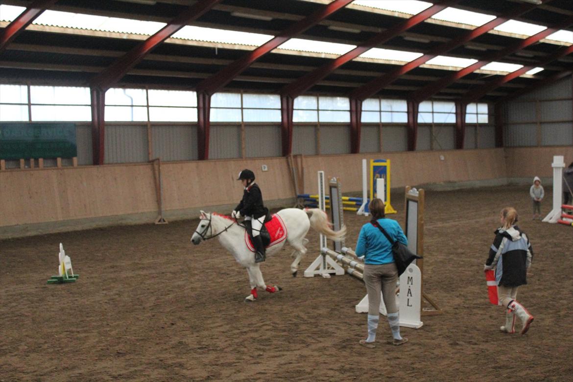 Stævne i Ågerupgård Sportsrideklub  d. 17 se billede 70