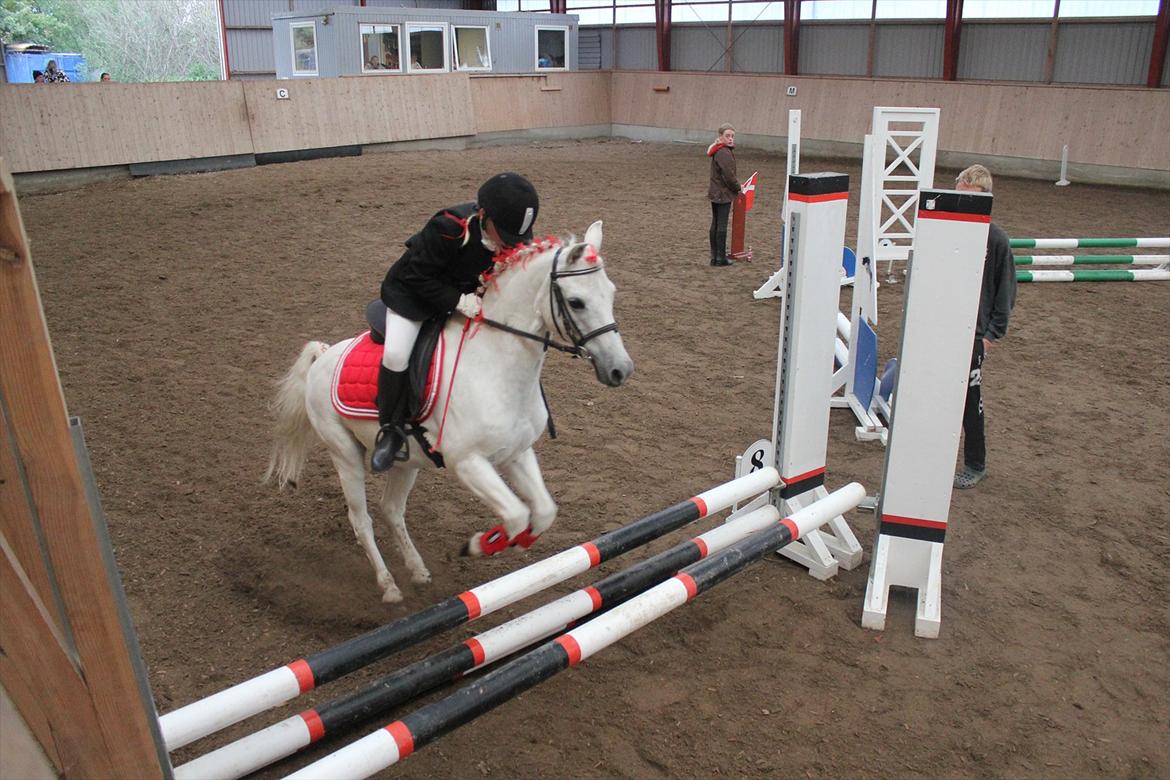 Stævne i Ågerupgård Sportsrideklub  d. 17 se billede 71