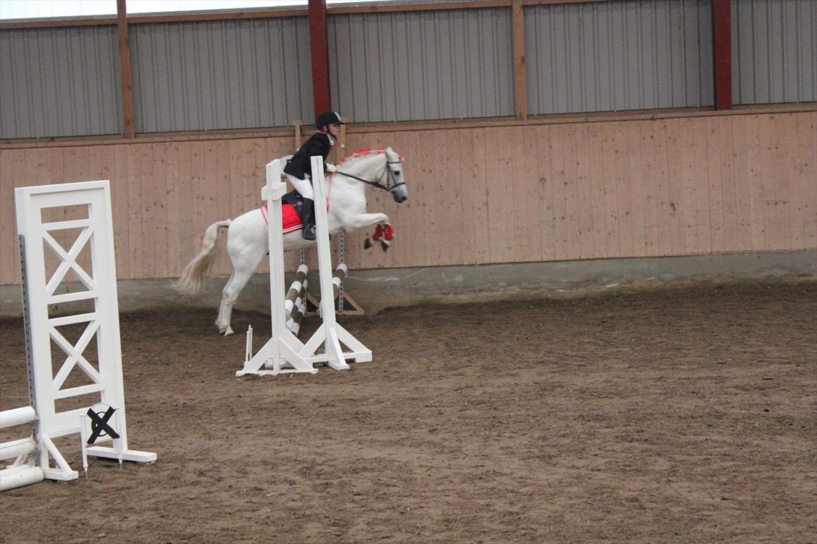 Stævne i Ågerupgård Sportsrideklub  d. 17 se billede 72
