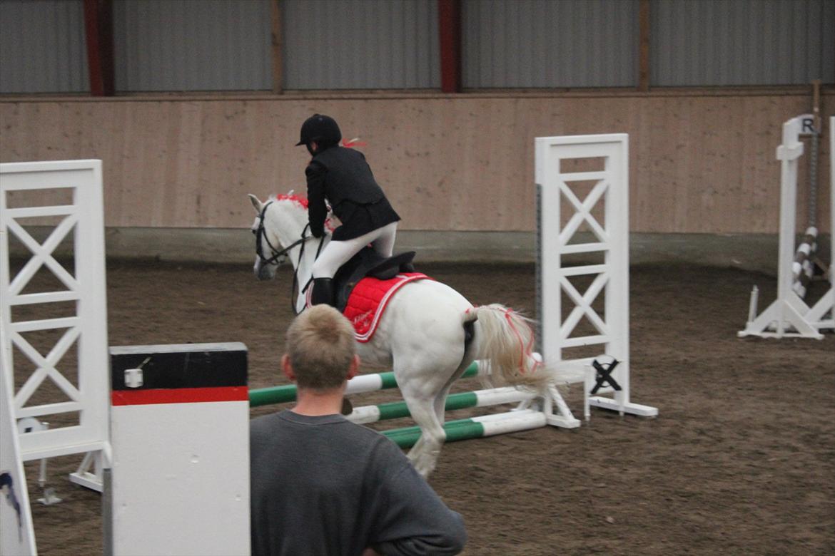 Stævne i Ågerupgård Sportsrideklub  d. 17 se billede 73