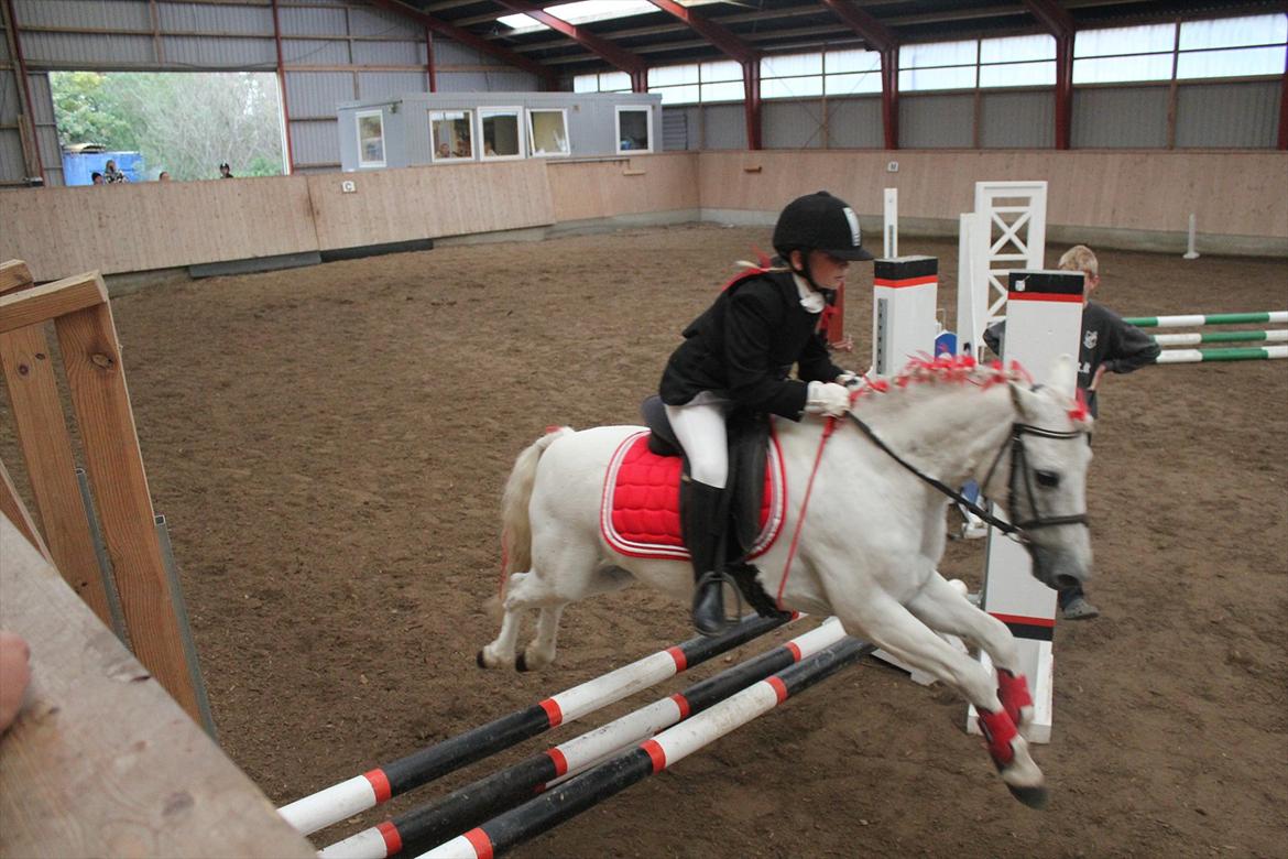 Stævne i Ågerupgård Sportsrideklub  d. 17 se billede 74