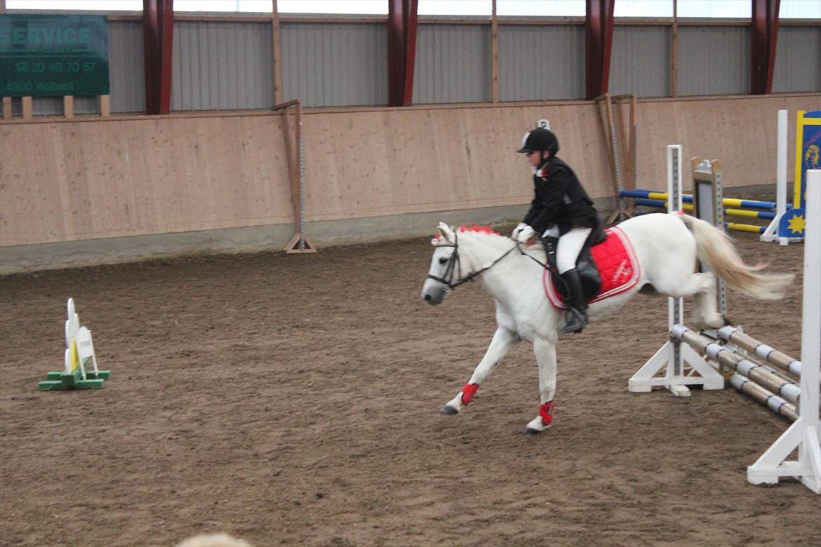 Stævne i Ågerupgård Sportsrideklub  d. 17 se billede 76
