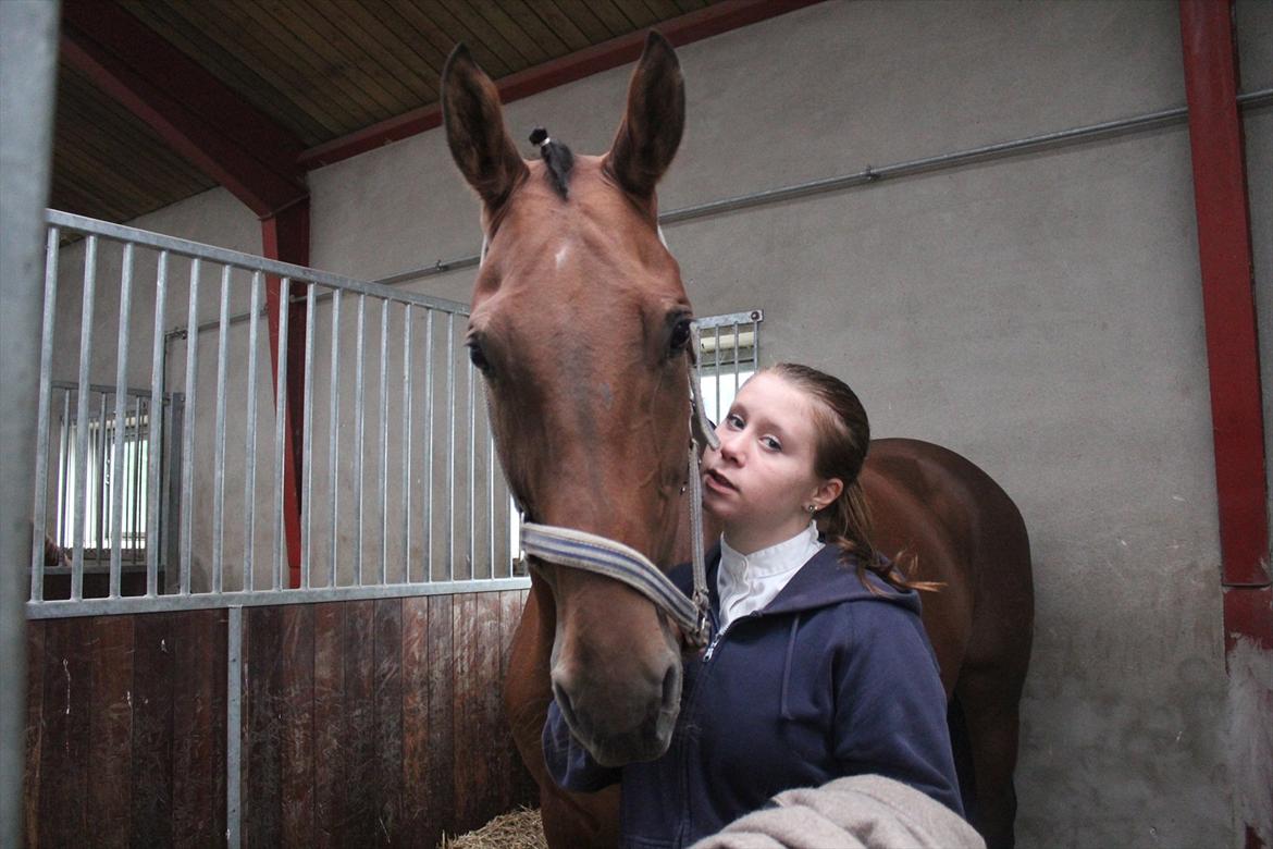 Stævne i Ågerupgård Sportsrideklub  d. 17 se billede 77